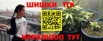 mdma Камышлов