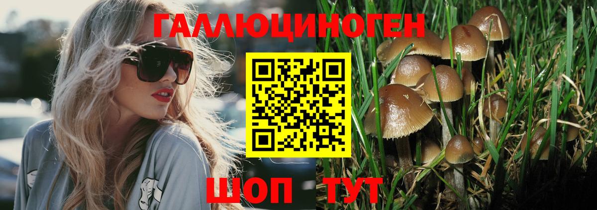 Галлюциногенные грибы мухоморы  где купить наркоту  Псилоцибиновые грибы ЛСД  Королёв  Вход с VPN 