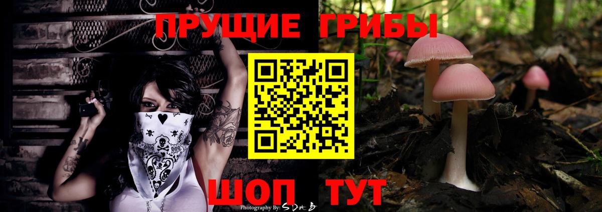  COCAIN Королёв